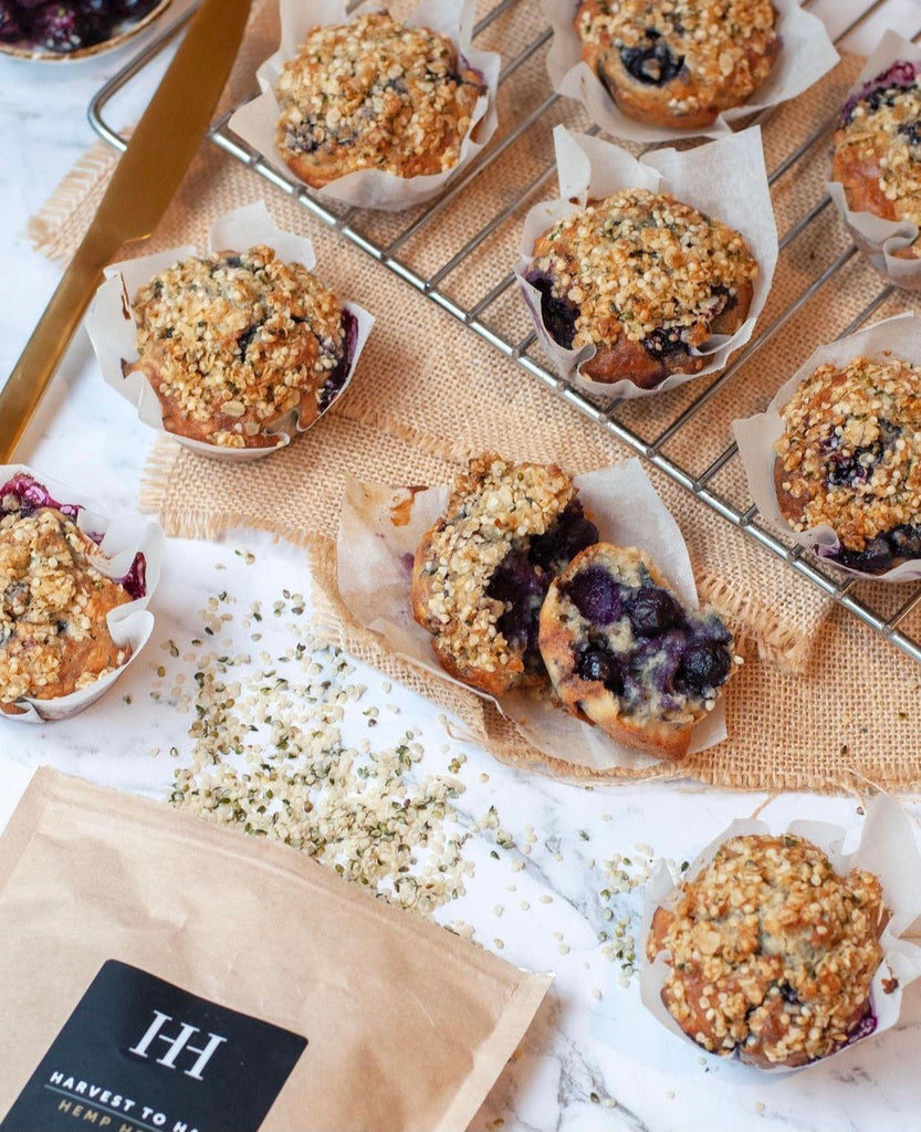 Hemp and blueberry muffin recipe